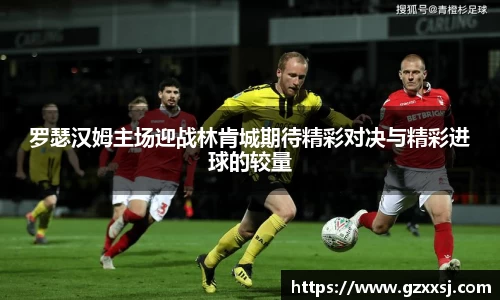 yy体育