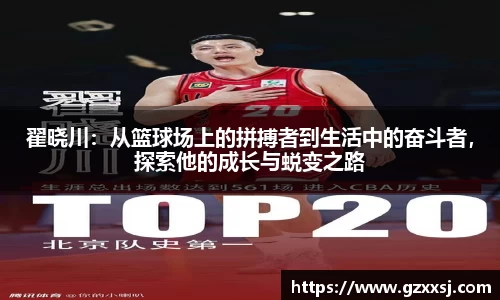 yy易游体育