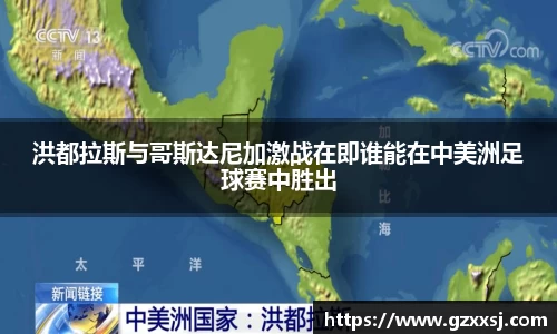 yy体育